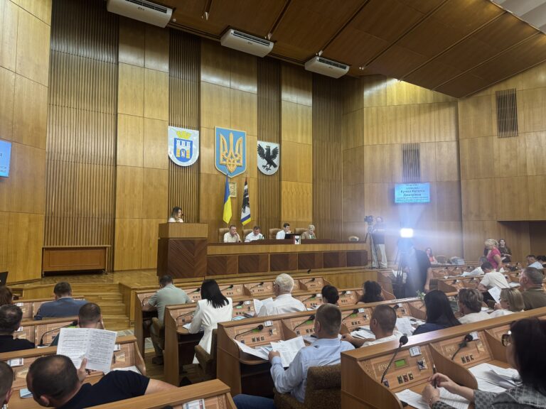 На Прикарпатті створять наглядові ради в 11 лікарнях: облрада підтримали нову систему контролю