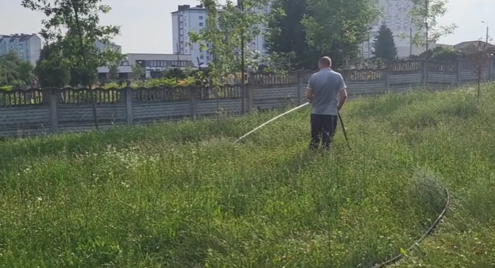 У Франківську через аномальну спеку щодня поливають молоді дерева (ВІДЕО)